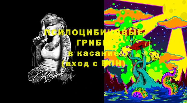 ECSTASY Заводоуковск